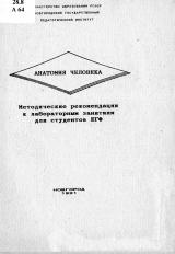 Анатомия человека : методические рекомендации к лабораторным занятиям для студентов ЕГФ