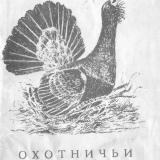Охотничьи птицы Новгородской области